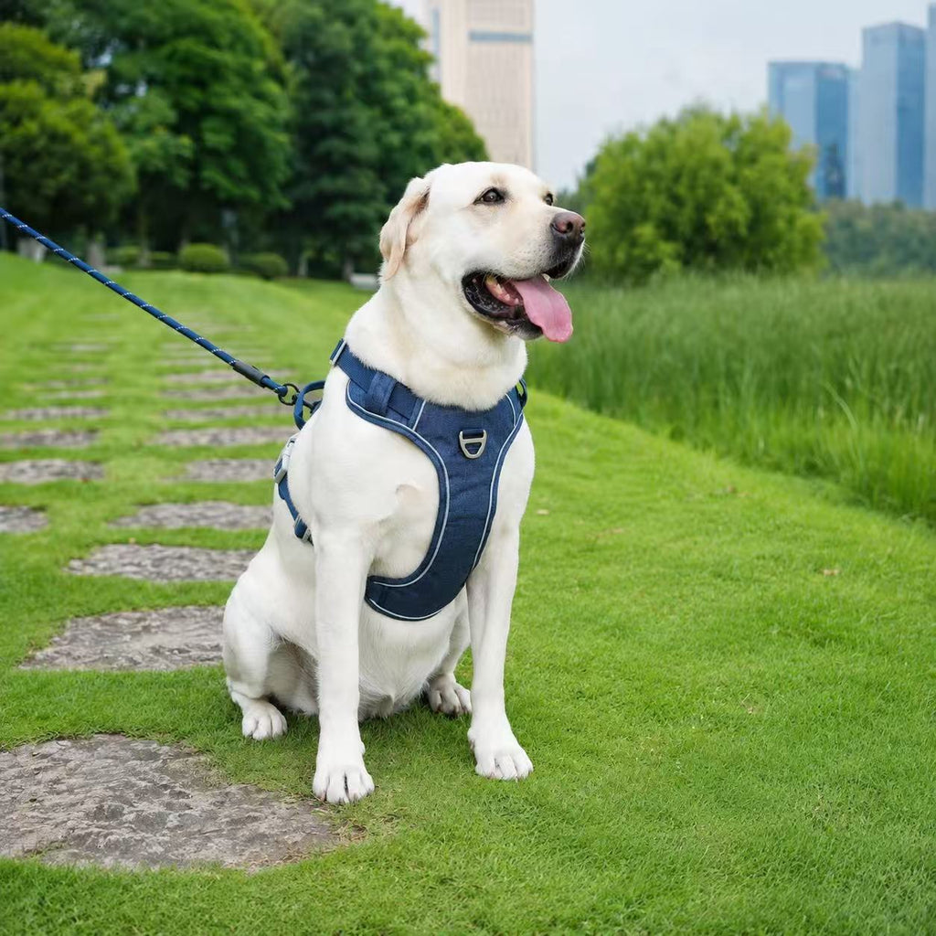 Hidden Tracker Pocket No-Pull Dog Harness, Reflective & adjustable