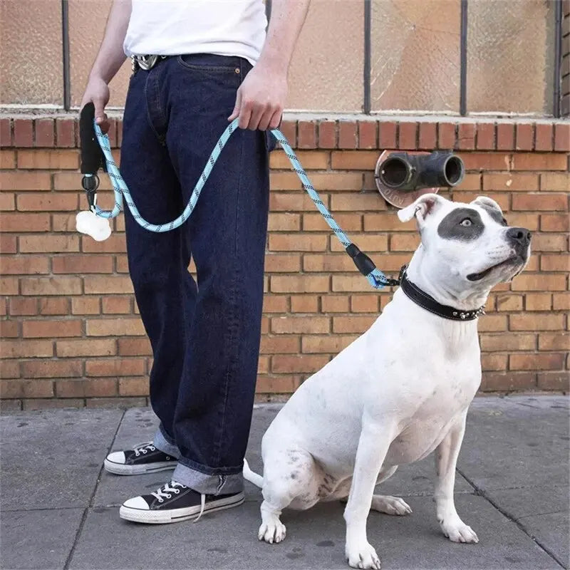 Reflective Dog Leash With Padded Handle Double Heavy Duty