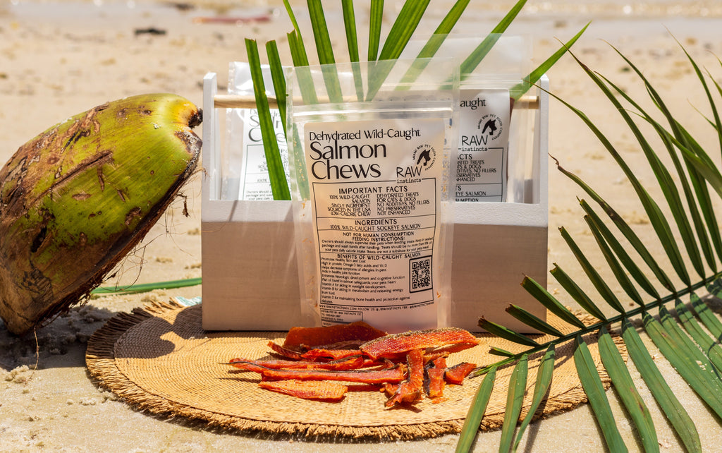 Wild-Caught Salmon Chews — 2 oz